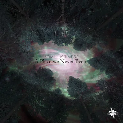 Album cover for A Place we Never Been by Stimulus Timbre
